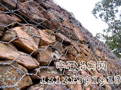 zsshilong88.jpg zsshilong88.jpg