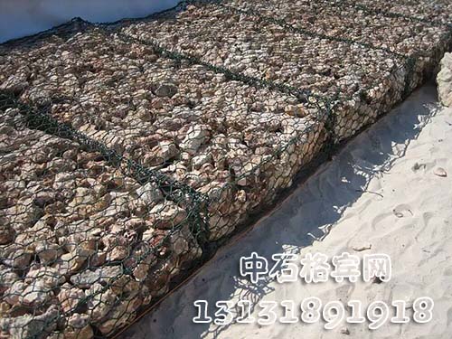 zsshilong131.jpg zsshilong131.jpg