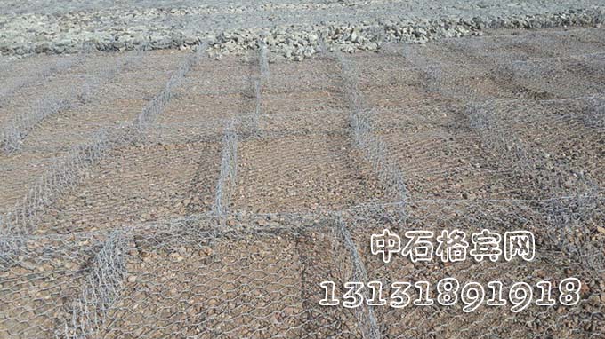 雙隔板雷諾護墊