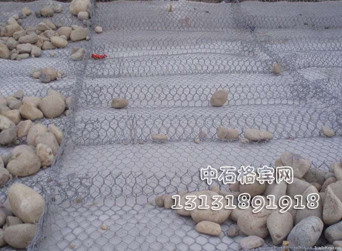 鍍高爾凡雷諾護墊