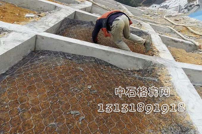 鍍高爾凡加筋麥克墊