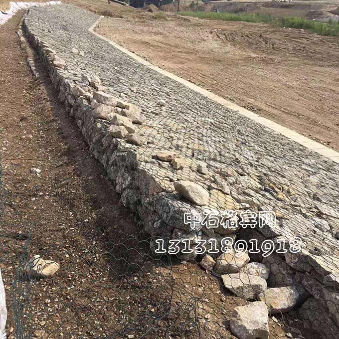 雙隔板雷諾護墊