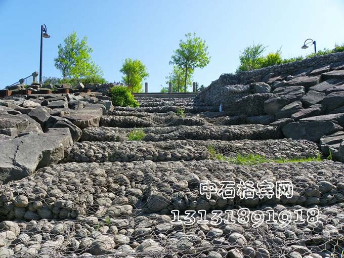 鍍高爾凡雷諾護墊