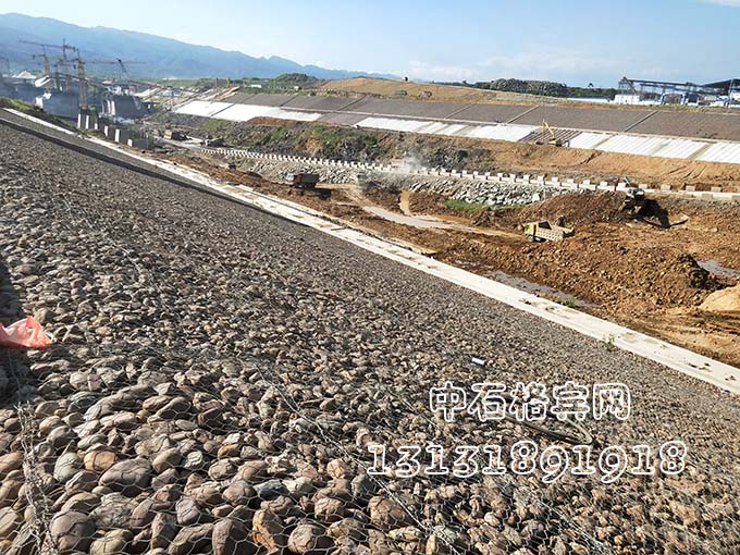 雙隔板雷諾護墊