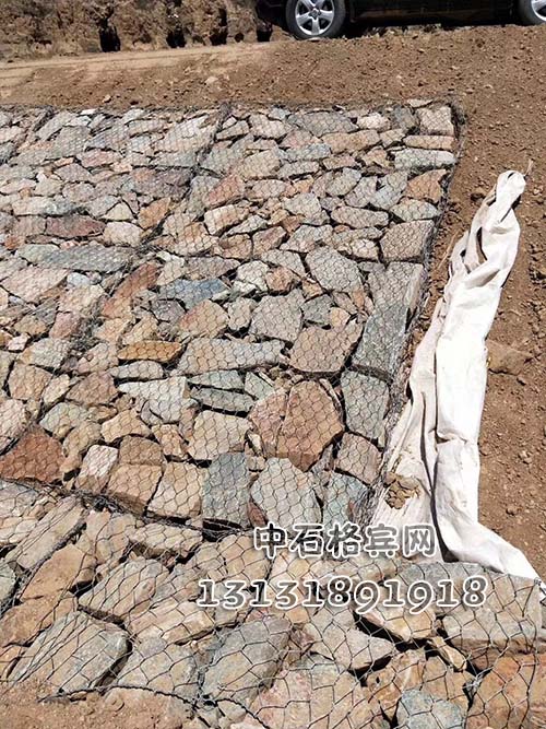 雙隔板雷諾護墊