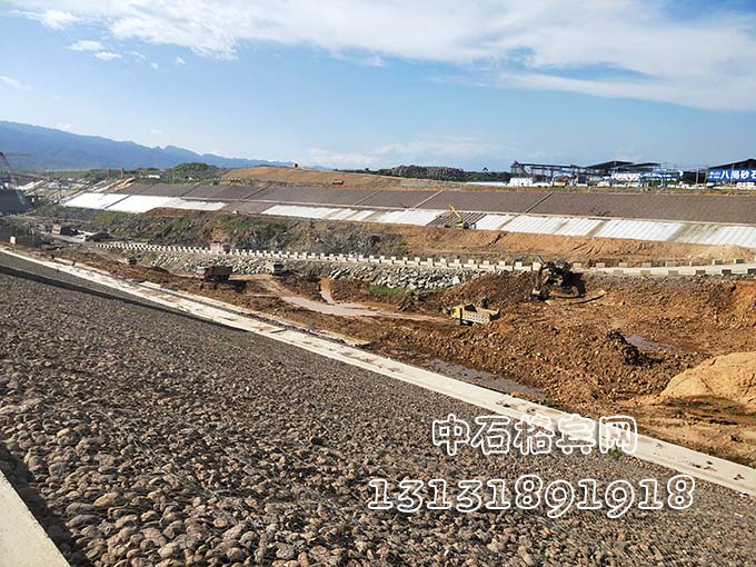 鍍高爾凡雷諾護墊