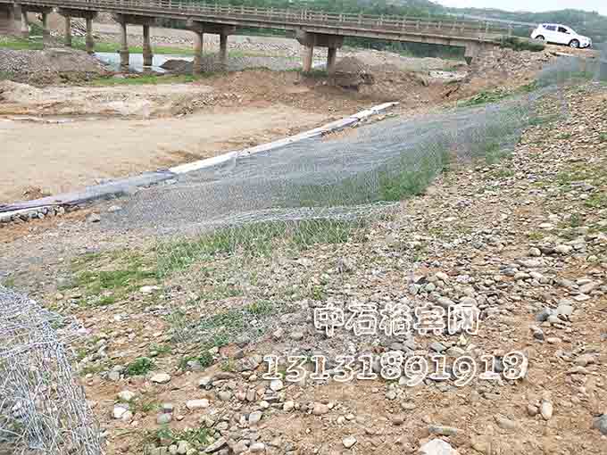 雙隔板雷諾護墊