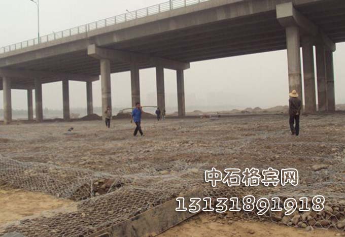 雙隔板雷諾護墊