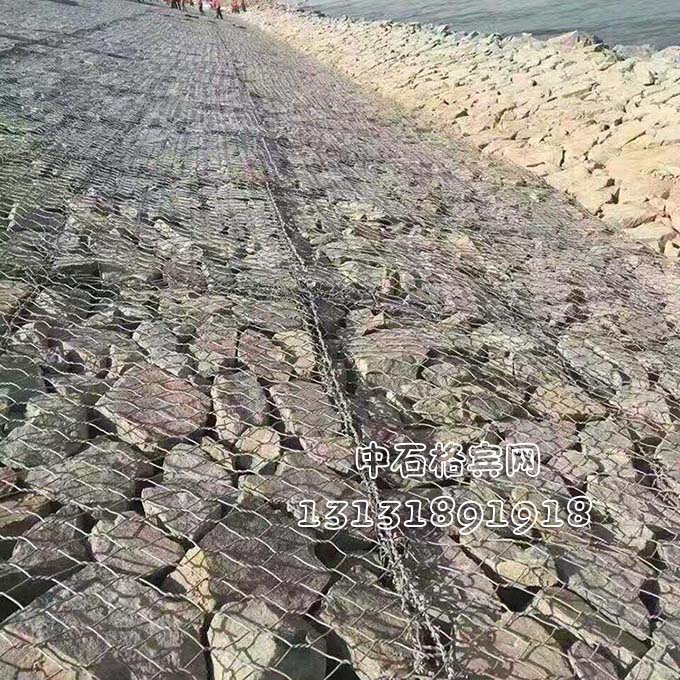 雙隔板雷諾護墊