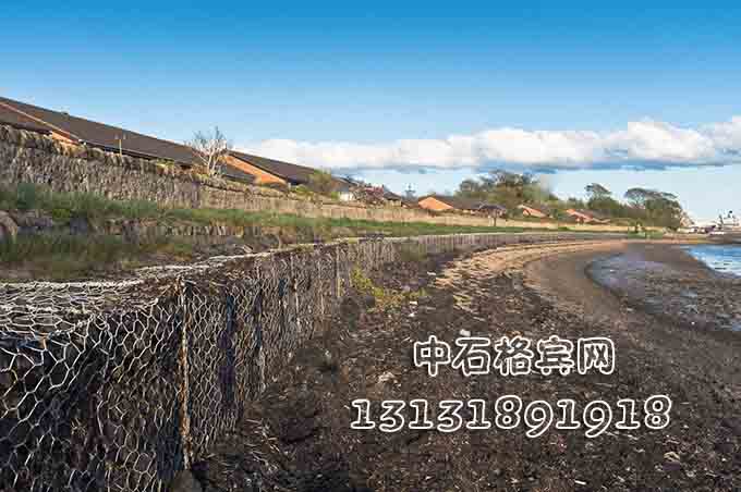 雙隔板雷諾護墊