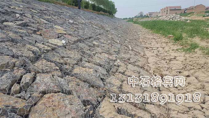 雙隔板雷諾護(hù)墊